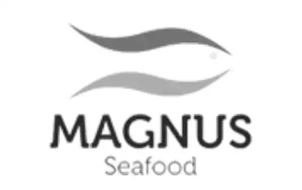 magnus.webp